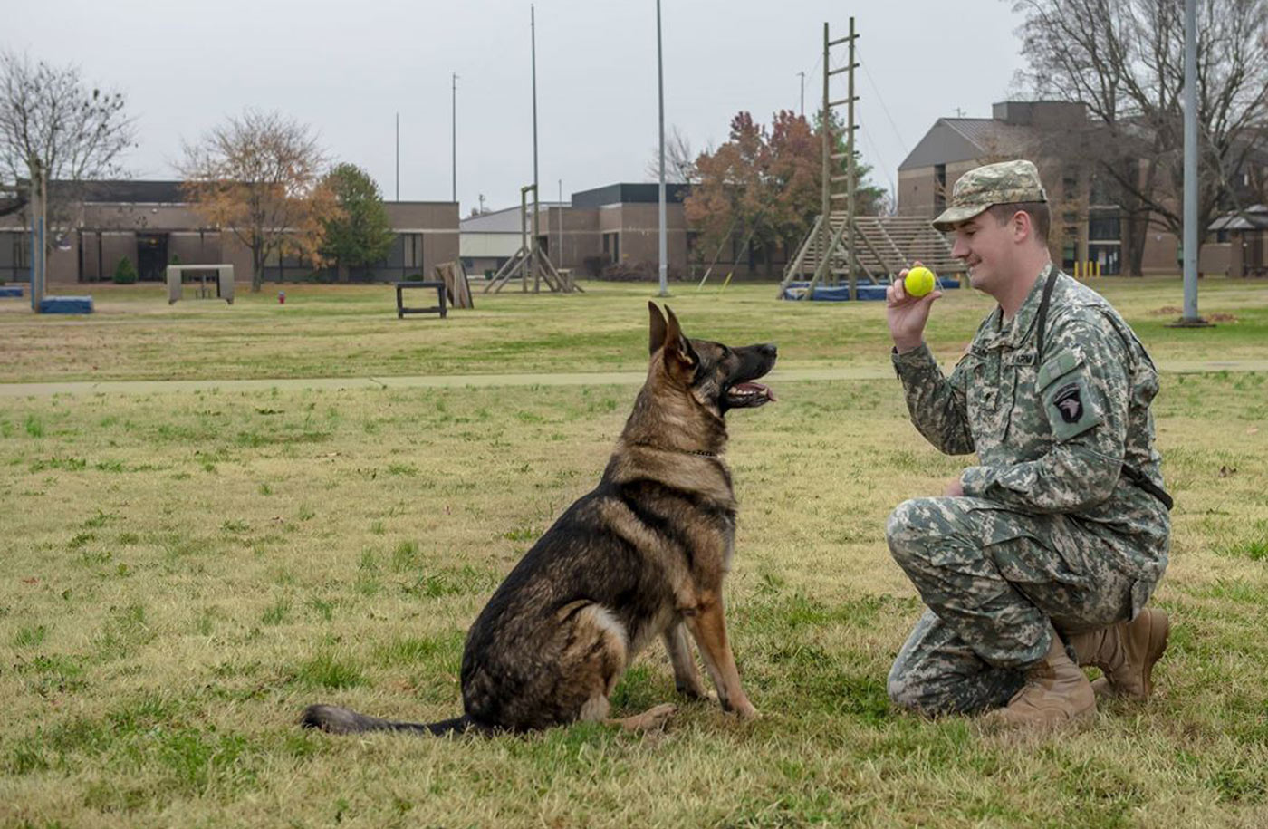 Bringing Military Service Dogs Home LIFE